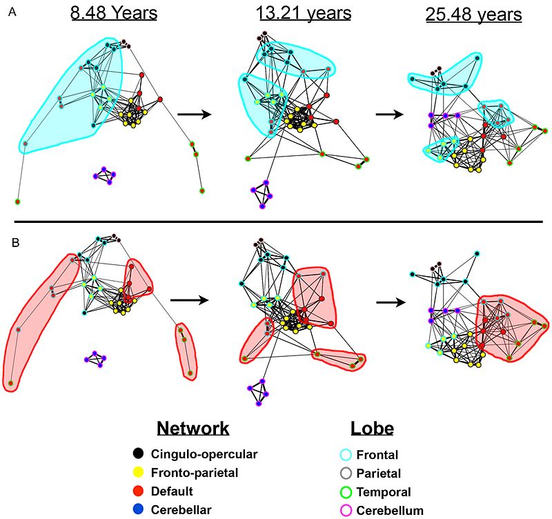 The Default-mode Network (DMN) - Psilocybin Research